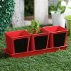Exotic Flora Set Of Three Chalk Board Painted Herb Pots Red Pots & Planters