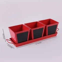 Exotic Flora Set Of Three Chalk Board Painted Herb Pots Red Pots & Planters