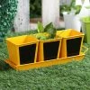 Exotic Flora Set Of Three Chalk Board Painted Herb Pots Yellow Pots & Planters