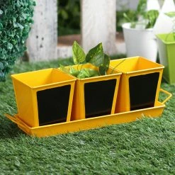 Exotic Flora Set Of Three Chalk Board Painted Herb Pots Yellow Pots & Planters