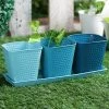 Exotic Flora Set Of Three Herb Pots Blue Pots & Planters