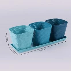 Exotic Flora Set Of Three Herb Pots Blue Pots & Planters