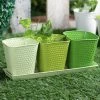 Exotic Flora Pots & Planters Set Of Three Herb Pots Green