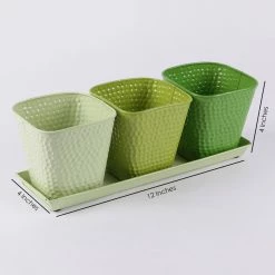 Exotic Flora Pots & Planters Set Of Three Herb Pots Green