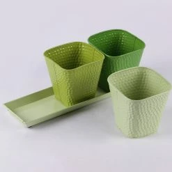 Exotic Flora Pots & Planters Set Of Three Herb Pots Green