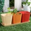Exotic Flora Set Of Three Herb Pots Red Pots & Planters