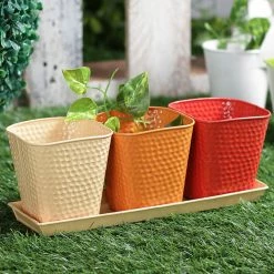 Exotic Flora Set Of Three Herb Pots Red Pots & Planters