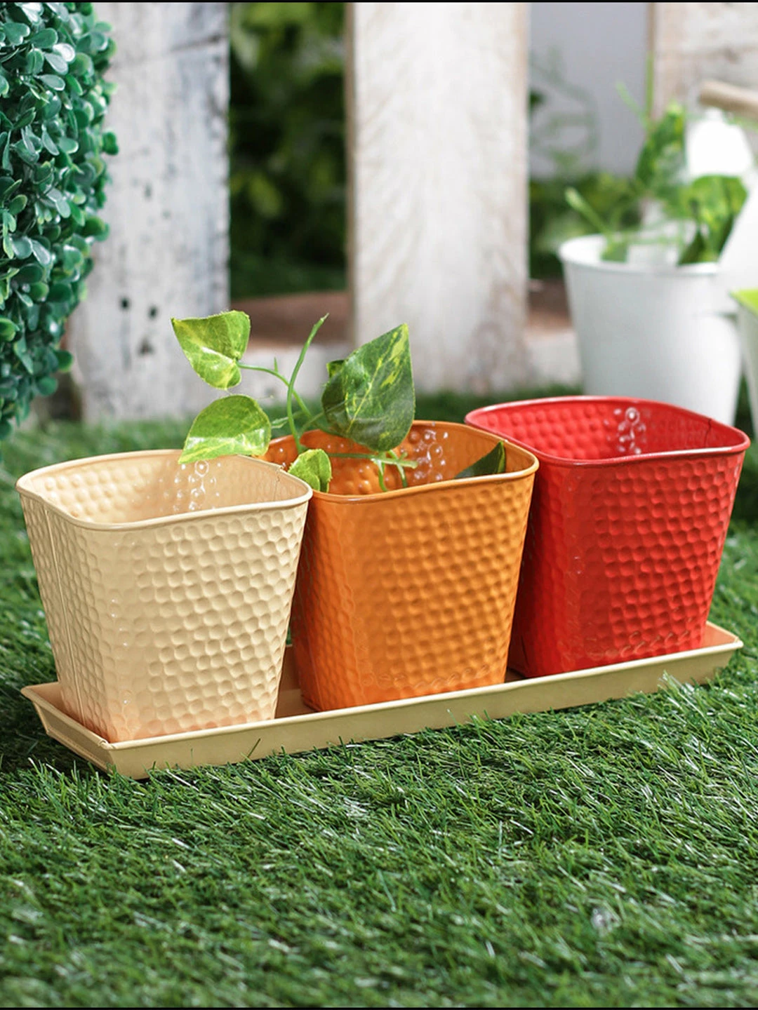 Exotic Flora Set Of Three Herb Pots Red Pots & Planters 1 Exotic Flora Set Of Three Herb Pots Red Pots & Planters