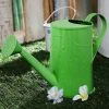 Exotic Flora Pots & Planters Design Embossed Watercane Green