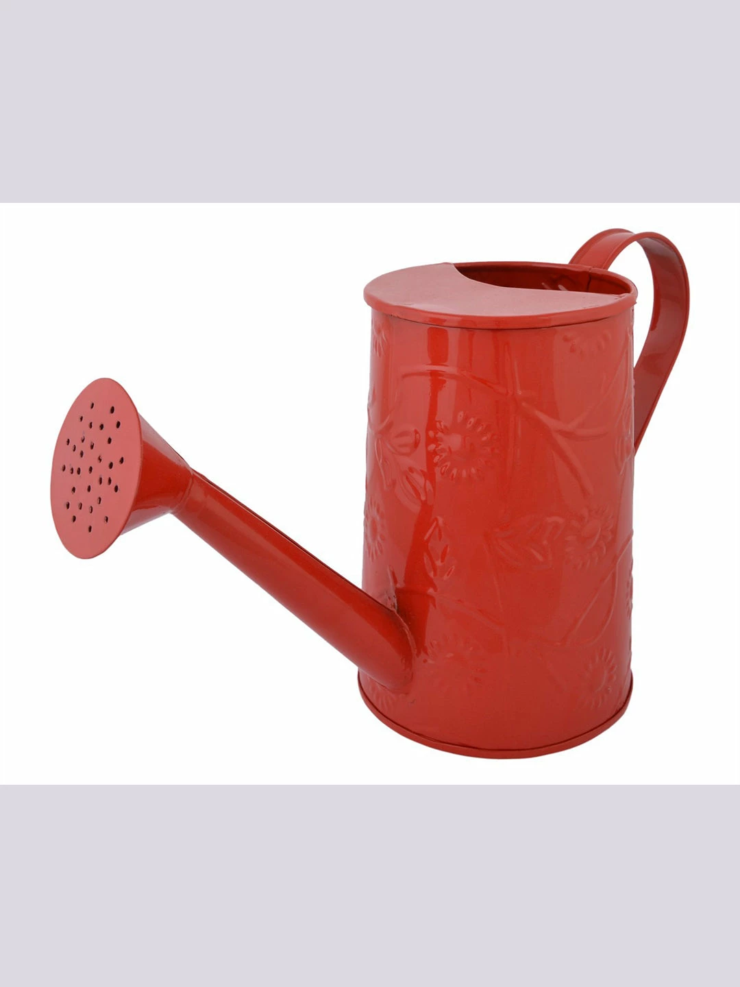 Exotic Flora Design Embossed Watercane Red Pots & Planters 3 Exotic Flora Design Embossed Watercane Red Pots & Planters