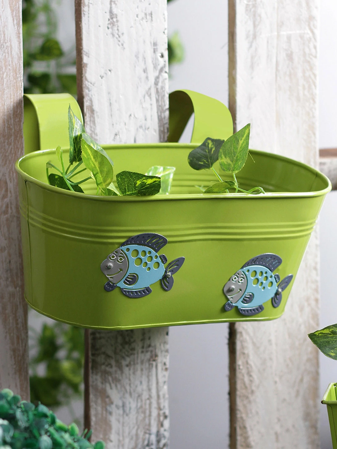 Exotic Flora Fish Tub Green Pots & Planters 1 Exotic Flora Fish Tub Green Pots & Planters