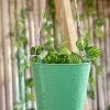 Exotic Flora Hanging Bucket Green