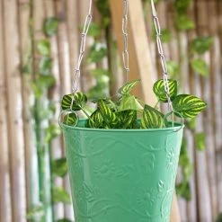 Exotic Flora Hanging Bucket Green