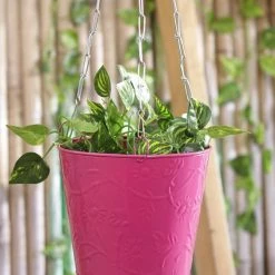 Exotic Flora Hanging Bucket Pink