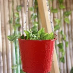 Exotic Flora Hanging Bucket Red Pots & Planters
