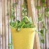 Exotic Flora Pots & Planters Hanging Bucket Yellow
