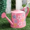 Exotic Flora Pots & Planters Handpainted Watercane Pink