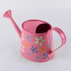 Exotic Flora Pots & Planters Handpainted Watercane Pink