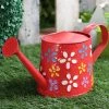 Exotic Flora Handpainted Water Cane Red Pots & Planters