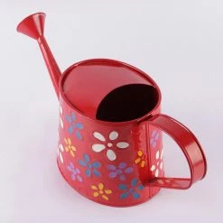 Exotic Flora Handpainted Water Cane Red Pots & Planters