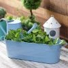 Exotic Flora Oval Planter Large Blue Pots & Planters