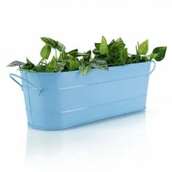 Exotic Flora Oval Planter Large Blue Pots & Planters