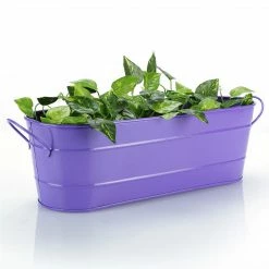 Exotic Flora Oval Planter Large Purple