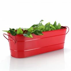 Exotic Flora Oval Planter Large Red Pots & Planters