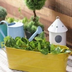 Exotic Flora Oval Planter Large Yellow