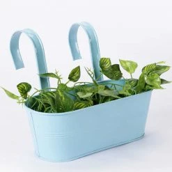 Exotic Flora Oval Railing Plnater Big Blue Pots & Planters