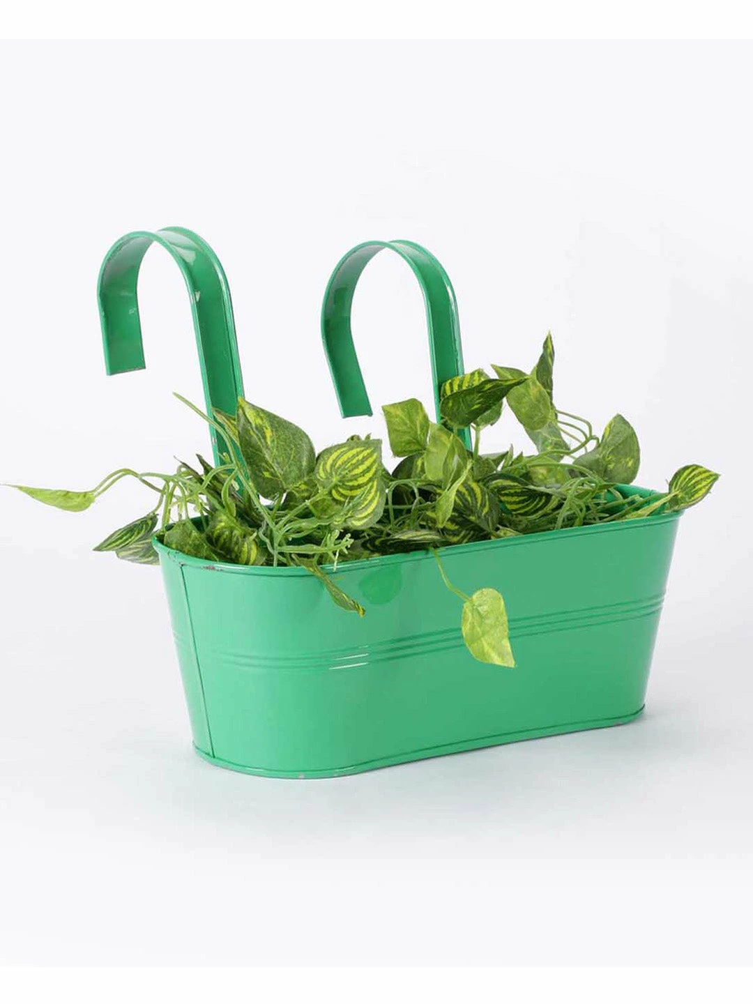 Exotic Flora Oval Railing Planter Big Green Pots & Planters 2 Exotic Flora Oval Railing Planter Big Green Pots & Planters