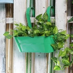 Exotic Flora Oval Railing Planter Big Green Pots & Planters