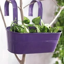 Exotic Flora Pots & Planters Oval Railing Planter Big Purple