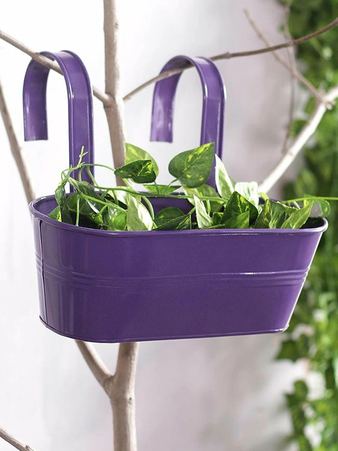 Exotic Flora Pots & Planters Oval Railing Planter Big Purple 1 Exotic Flora Pots & Planters Oval Railing Planter Big Purple