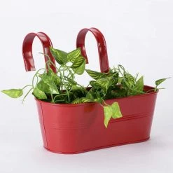 Exotic Flora Oval Railing Planter Big Red