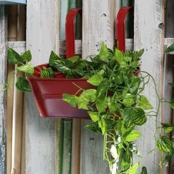 Exotic Flora Oval Railing Planter Big Red