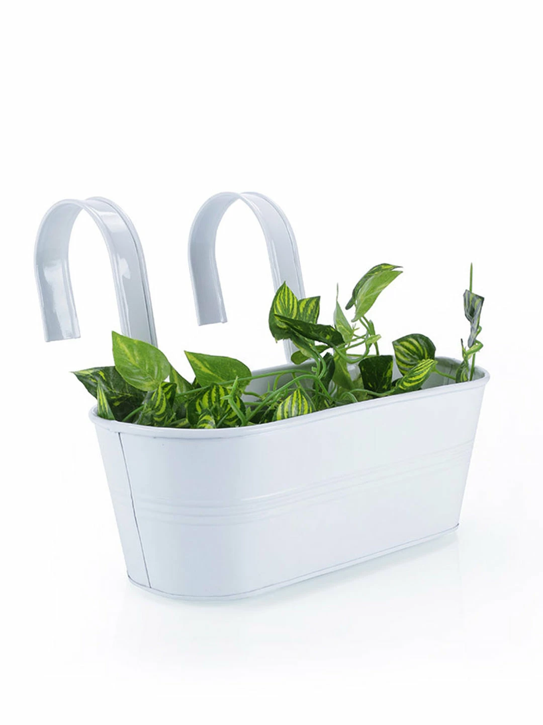 Exotic Flora Oval Railing Planter Big White 2 Exotic Flora Oval Railing Planter Big White