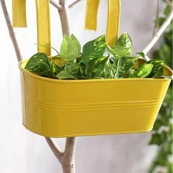 Exotic Flora Oval Railing Planter Big Yellow