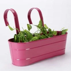 Exotic Flora Oval Railing Planter Large Pink