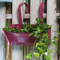 Exotic Flora Oval Railing Planter Large Pink