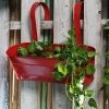 Exotic Flora Oval Railing Planter Large Red Pots & Planters