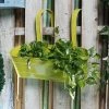 Exotic Flora Pots & Planters Oval Railing Planter Large Yellow