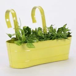Exotic Flora Pots & Planters Oval Railing Planter Large Yellow