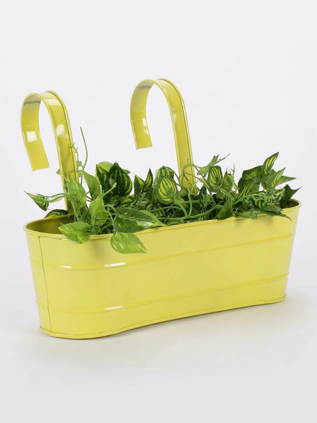 Exotic Flora Pots & Planters Oval Railing Planter Large Yellow 2 Exotic Flora Pots & Planters Oval Railing Planter Large Yellow
