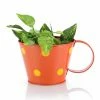 Exotic Flora Pots & Planters Polka Cup Small Orange