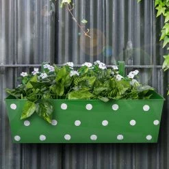 Exotic Flora Pots & Planters Polka Dot Rectangle Planter Green