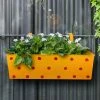 Exotic Flora Polka Dot Rectangle Planter Yellow