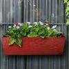 Exotic Flora Embossed Rectangular Pot Red