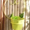 Exotic Flora Pots & Planters Wall Mounted Yellow Planter