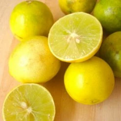 Exoticflora Fruit Plants To Grow In Pots Lemon Balaji - Fruit Plants & Tree 5 Exoticflora Fruit Plants To Grow In Pots Lemon Balaji - Fruit Plants & Tree